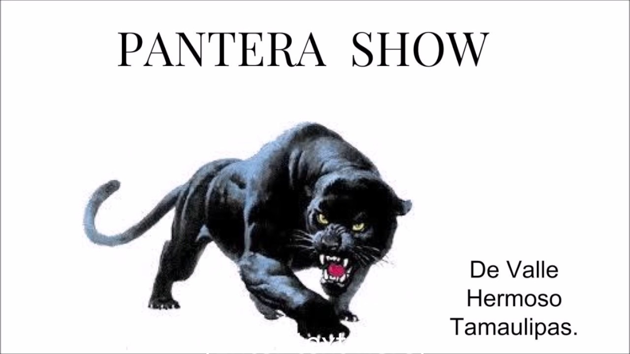 Grupo Pantera Show de Valle Hermoso  Album Completo
