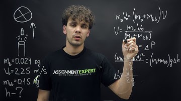 Momentum conservation law in the ball and bullet collision