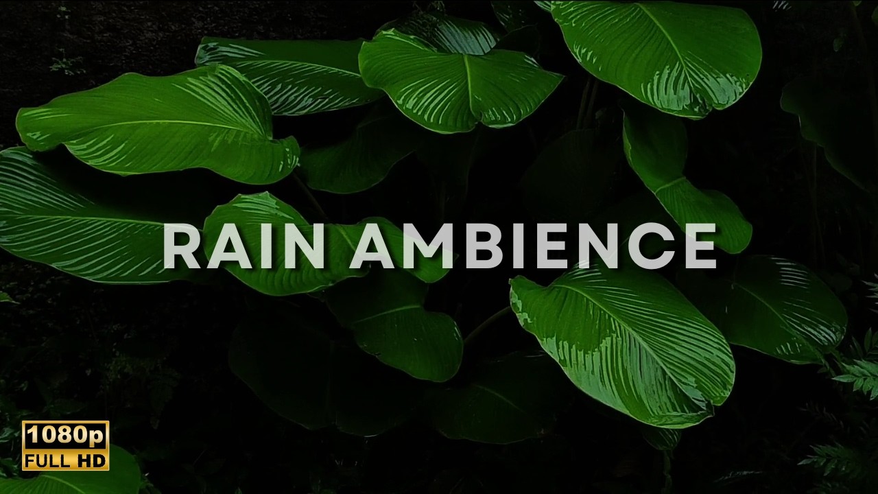 Sleep Instantly Tonight 🌧️ Heavy Rain Sounds on Tropical Leaves | Deep Sleep & Insomnia Relief