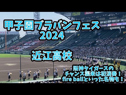 [甲子園ブラスバンドフェスティバル2024]近江高校 吹奏楽部 応援曲メドレー！ 阪神タイガースのチャンス襲来などを演奏！