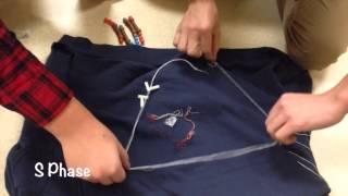 Mitosis 2014 G1 S and G2 Phase
