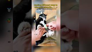 Ranking Different ways to trim your catsnails...😺💅