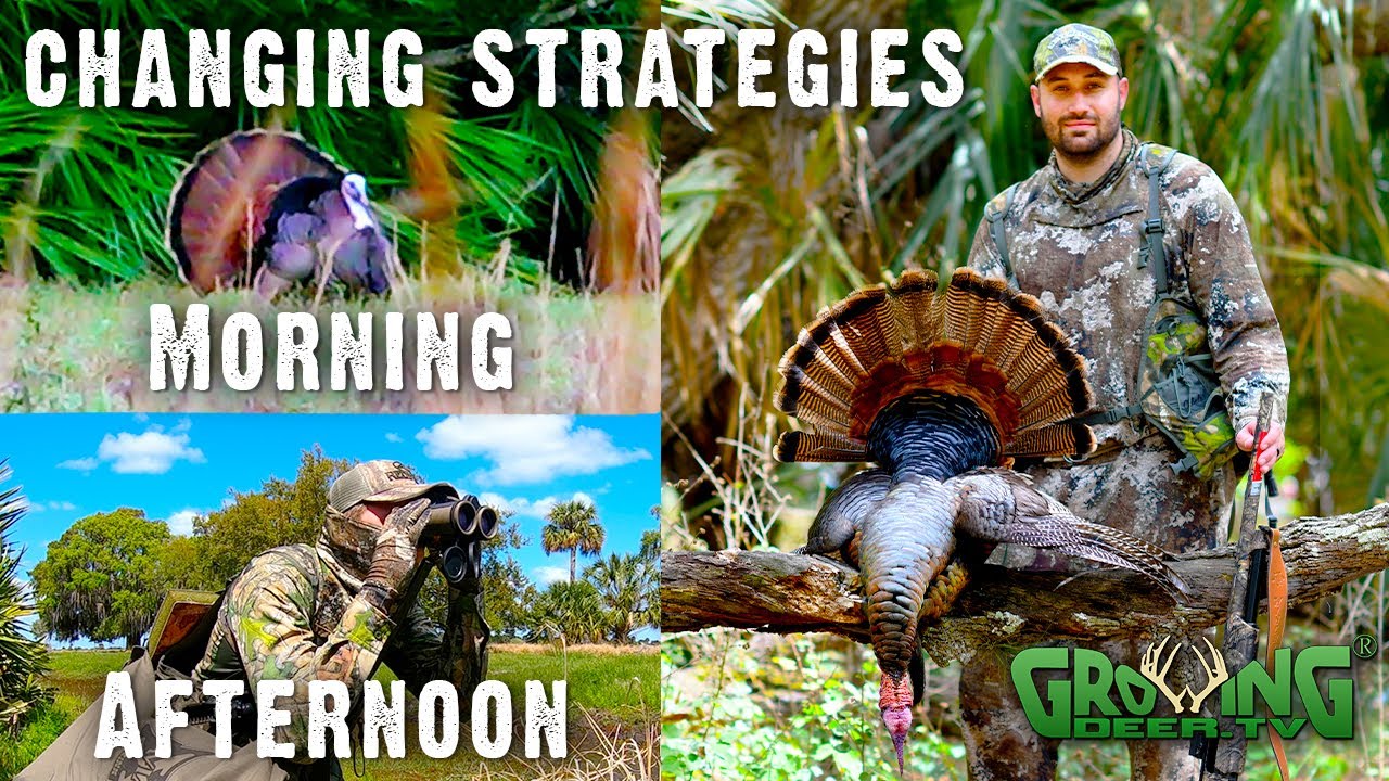 Turkey Hunting 2021: Changing Strategies to Tag a Tom (621)