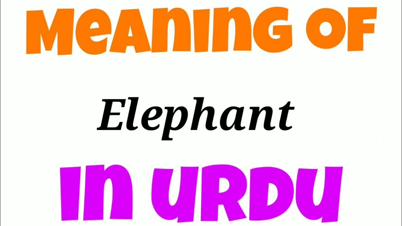Elephant Ko Urdu Mein Kya Kahate Hai Elephant Ko Urdu Mein Kya Bolate elephant-ko-urdu-mein-kya-kahate-hai-elephant-ko-urdu-mein-kya-bolate