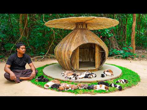 Watch These Puppies Get a New Home! 🐶❤️