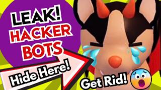 LEAK! Hackers Hide Bots in This Part of Adopt Me that Nobody Knows! Roblox