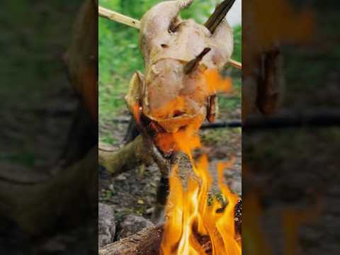 Eat and chill in forest #nature #forest #food #campping #campfire #survival #bushcraft #chicken