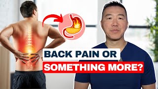 Is Your Back Pain Making Your Stomach Hurt? Net Worth