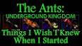 The Hidden Benefits of Ants ile ilgili video