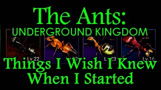 The Ants: Underground Kingdom - Things I Wish I knew When I Started screenshot 5