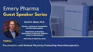 Psychedelics and Related Plasticity - Promoting Neurotherapeutics