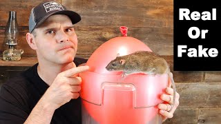 Are The Viral Balloon Bucket Rat Trap Videos Real Or Fake? Mousetrap Monday.