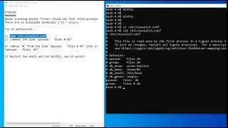 [SOLVED] : Error Could not fork child proces while invoking mintty