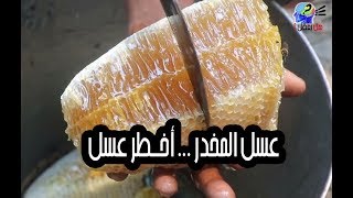 عسل المخدر - أخــطر و أغلى عسل في العالم !