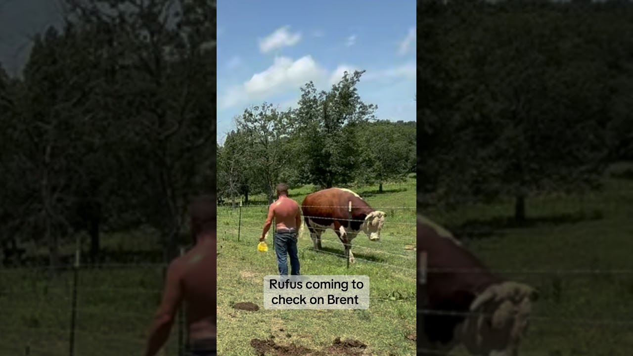 Reviewing footage for safety meetings 