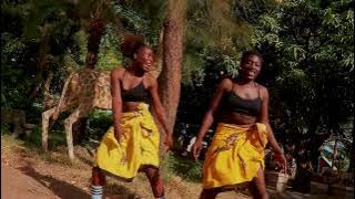 AlifatiQ -Follow The Beat