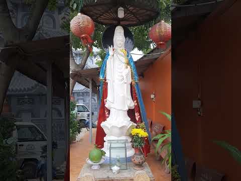 Video Quan Thế Âm Bồ Tát - Chùa Bình Hòa, Đường Bến Bình... - youtube
