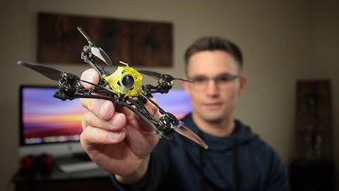 I got the NewBeeDrone 2S SavageBee