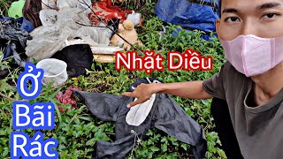 Nhặt Được Diều Cá Mập Trong Bãi Rác II Phi Vi Lốc