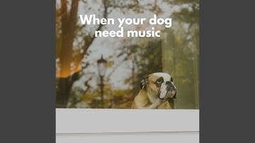 Sensational Music for Forgetting Mirrors