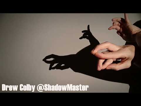 Peacock Hand Shadow Tutorial