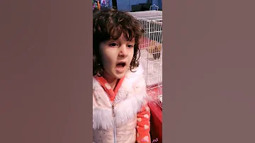 هالصيصان شو حلوين Cute Dance صيصان كتاكيت Sesan صوص Cute Animals Chicks Dance Song 
