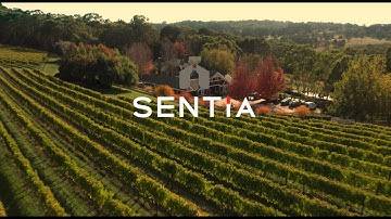 Sentia Wine Analyzer - The Future of Wine Analysis