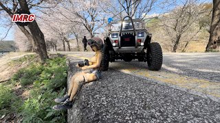 Driving An Rc Car To See Cherry Blossoms