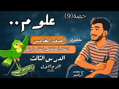 الدرس الثالث علوم الصف الخامس الابتدائي مفهوم انتقال الطاقة في النظام البيئي خامسة ابتدائي