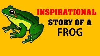 STORY OF A FROG - who never gave up. [ Life, Grind, Motivation, Inspiration, The Expressionist ]