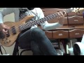 Versailles Thanatos Bass cover