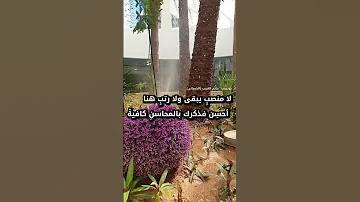 الله در قائل هاذي الابيات مونتاج حاتم الغريب الشمالي 