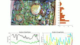 ESPY Particle Size Distribution Net Worth