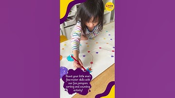Pompom Sorting & Counting Fun | Little Express Preschool Activity