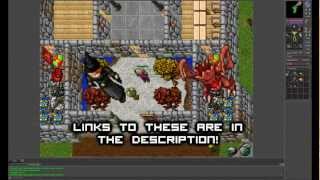 Tibia - Donkey Mount Tutorial