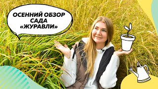видео: Обзора сада Журавли в октябре |  Ландшафтный дизайн | Ирис болотный | Аконит | Тимьян картинка: Обзора сада Журавли в октябре |  Ландшафтный дизайн | Ирис болотный | Аконит | Тимьян
