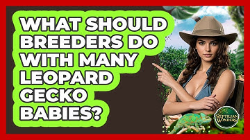 What Should Breeders Do With Many Leopard Gecko Babies? - Reptilian Wonders