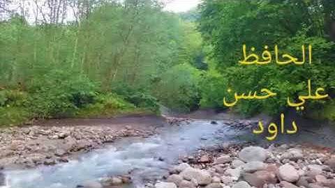 الحافظ علي حسن داود  سورة إبراهيم (مرتل)