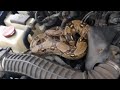 Man Discovers Boa Constrictor in Car Hood: ‘My Heart Stopped’ This video brought to you by the Inside Edition channel.