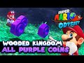 All 100 Purple Coins in Wooded Kingdom Guide | Super Mario Odyssey