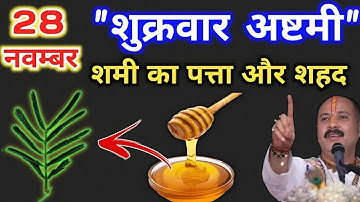 28 नवंबर शुक्रवार अष्टमी के दिन करे शमी का पत्ता और शहद का उपाय |#pradeepmishraupay #shukrawarkeupay