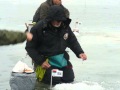 XI Чемпионат мира по ловле рыбы на мормышку со льда. Беларусь, февраль 2014