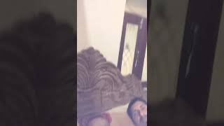 Download Lagu tikuliya ye Raja #bhojpuri #song #music #newsong #shortsfeed #musicgenre MP3 Download Lagu tikuliya ye Raja #bhojpuri #song #music #newsong #shortsfeed #musicgenre MP3