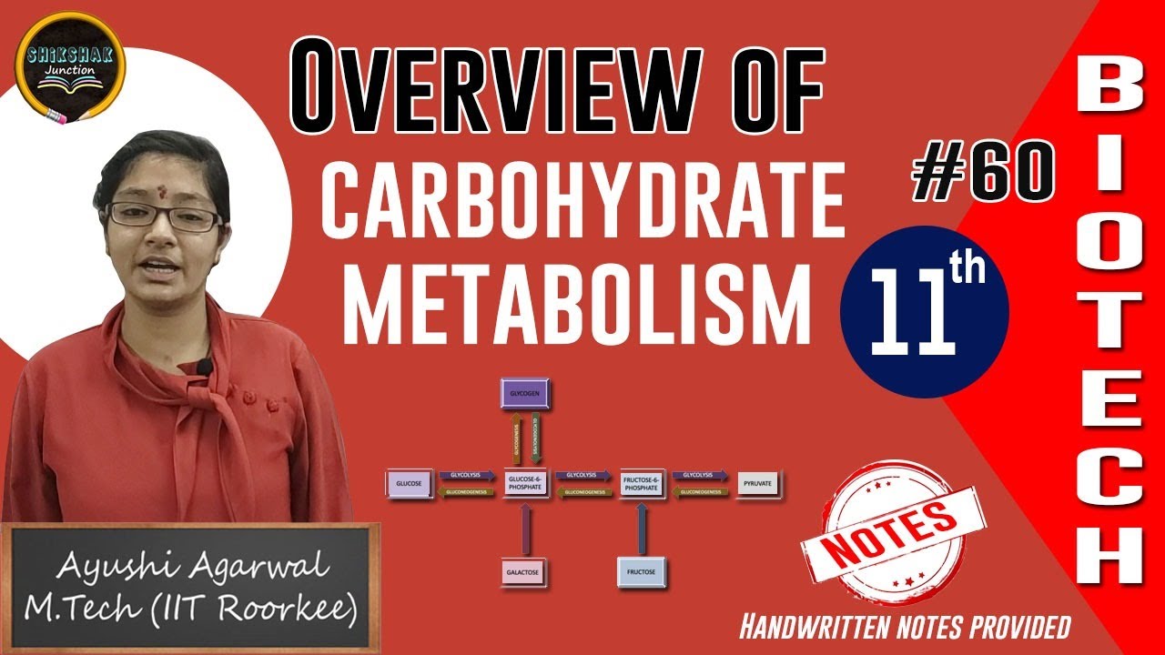 Lecture 60: Overview of carbohydrate metabolism | Ayushi Agarwal | Shikshak Junction