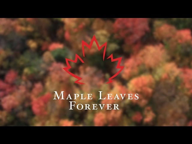 Maple Leaves Forever - OUR STORY (long version)