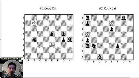 Copy Cat Chess Puzzle