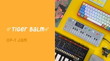 Tiger Balm | OP-1 Jam using Mechanical Keyboard Sounds