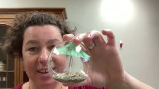 Morrisson-Reeves Library Program Pickup Kits: Beach Terrarium