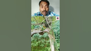 Lilliput |Lilliput Story |Lilliput Movie |#reaction #shorts