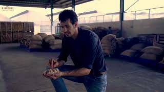 Cacao Trace Fermentation Process - Episode 1